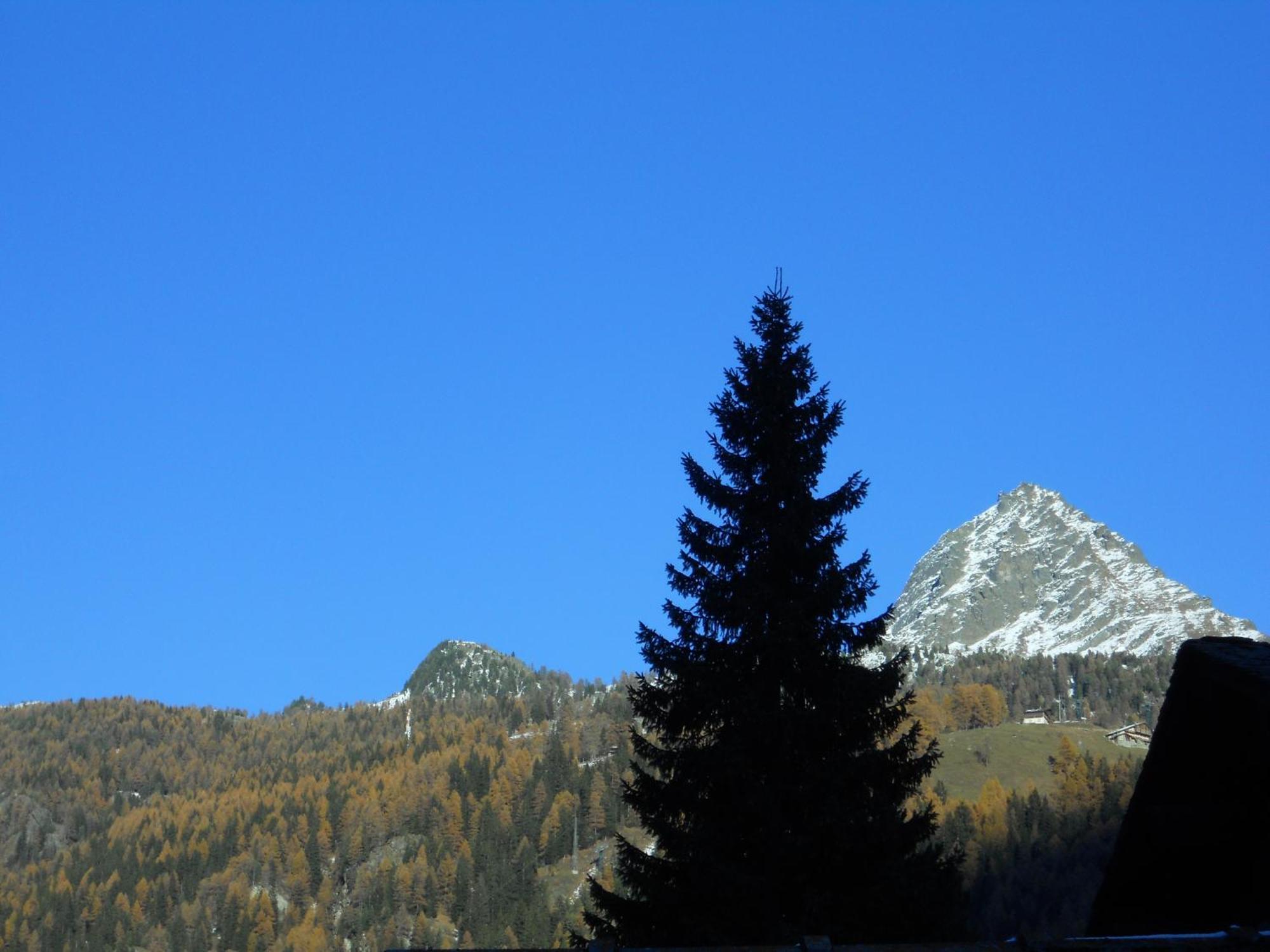 Affittacamere Petit Coeur Champoluc Εξωτερικό φωτογραφία