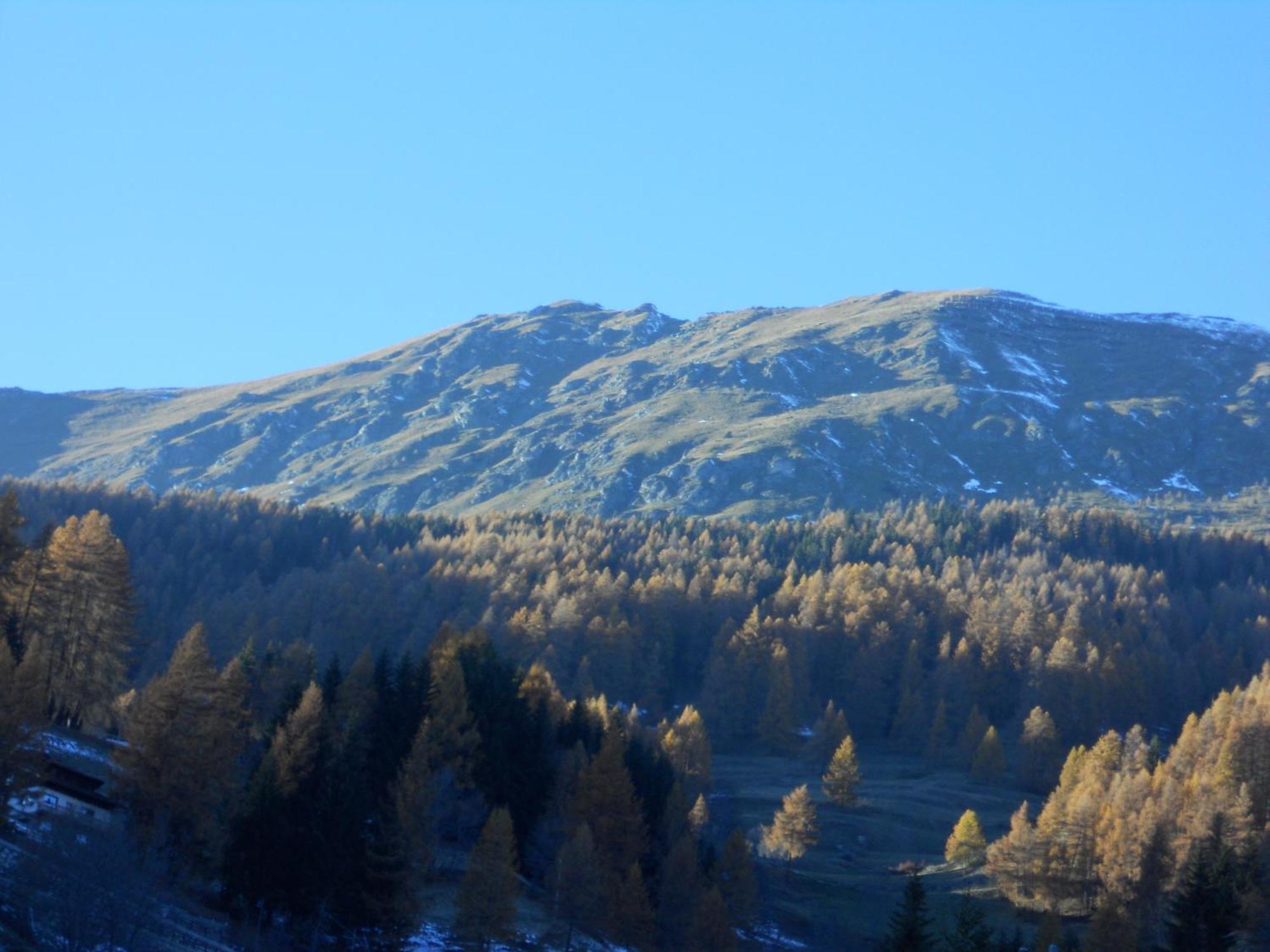 Affittacamere Petit Coeur Champoluc Εξωτερικό φωτογραφία