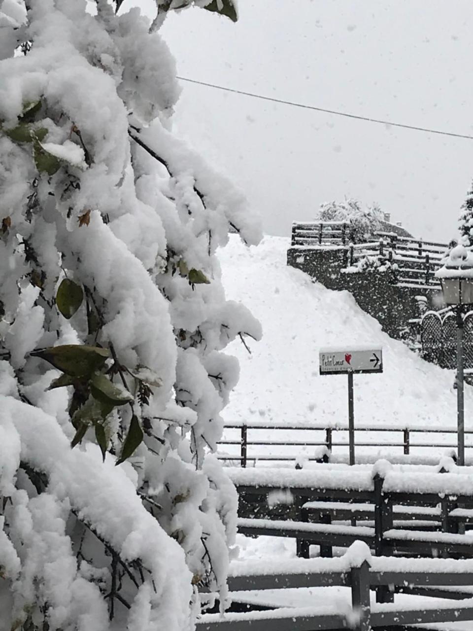 Affittacamere Petit Coeur Champoluc Εξωτερικό φωτογραφία